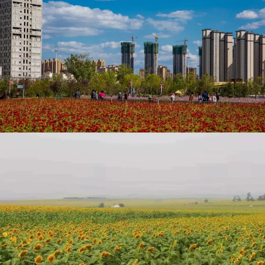 微信图片_20210916141408.jpg